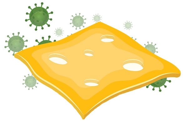 swiss cheese and germ illustration